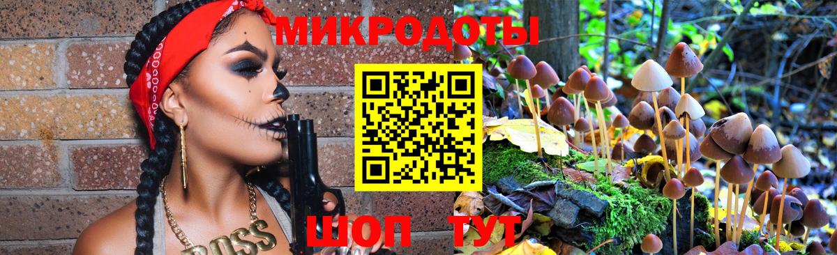 Псилоцибиновые грибы мухоморы  Галлюциногенные грибы ЛСД  Котовск  наркошоп  Вход с VPN 
